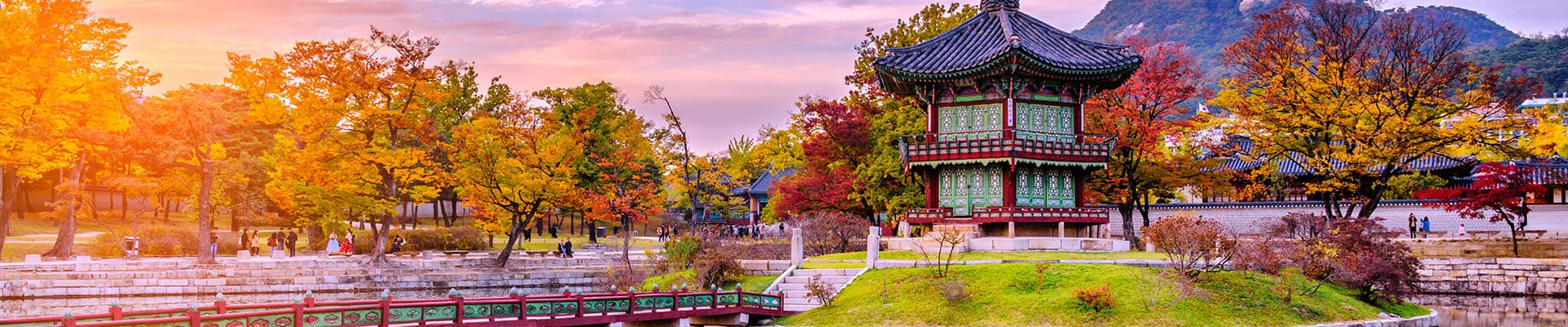 Circuiti Corea del Sud